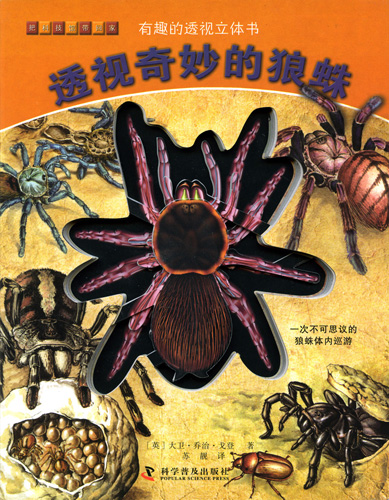 《透視奇妙的狼蛛》