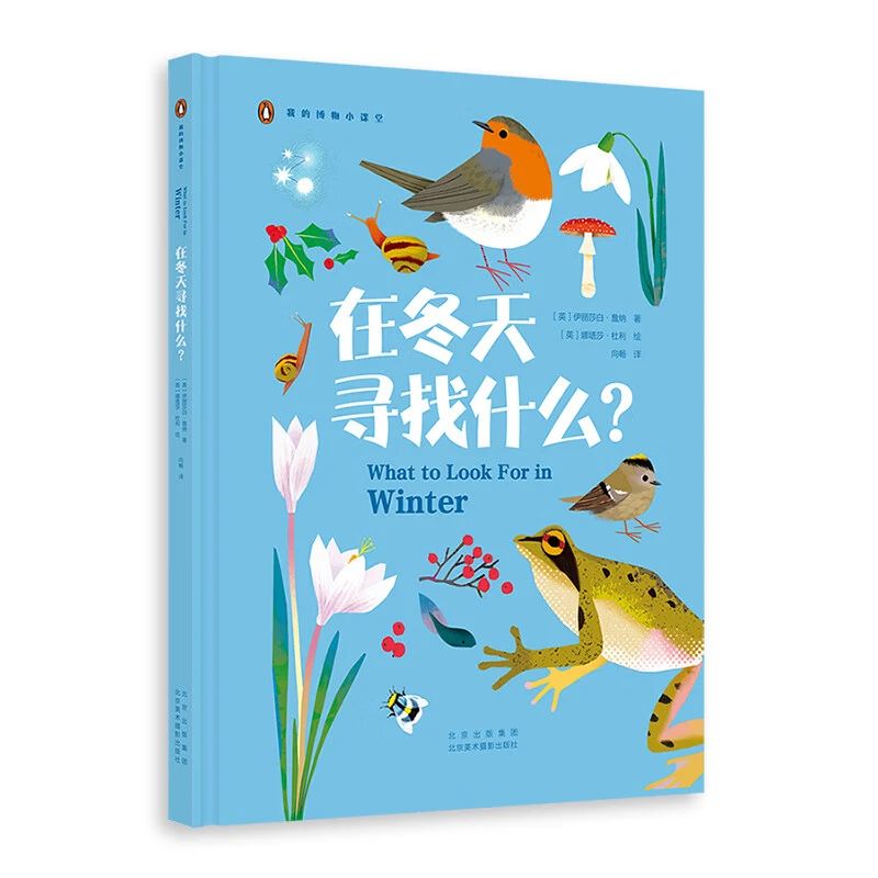 《在冬天尋找什么？》
